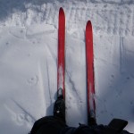 Seems like a shame to use backcountry skis on snowmobile tracks.