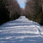 Coming down the main road out of the park.