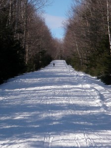 Coming down the main road out of the park.